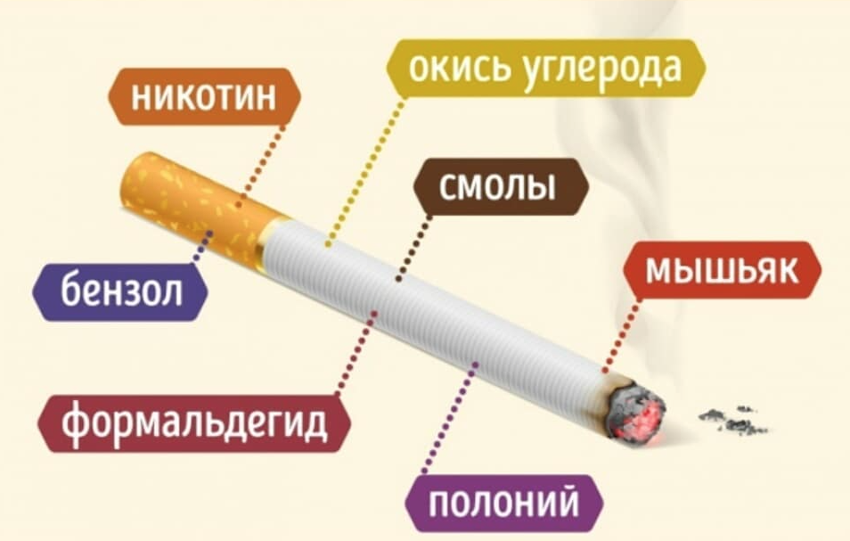 Курилка затяжки. Состав сигареты. Схема сигареты. Никотин содержится в табаке. Состав табака и никотина.